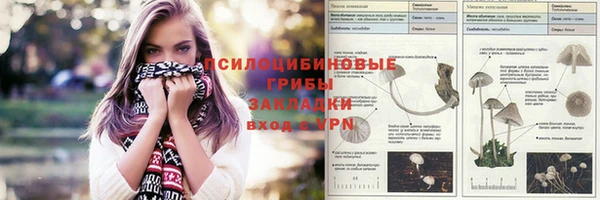 прущие грибы Алзамай