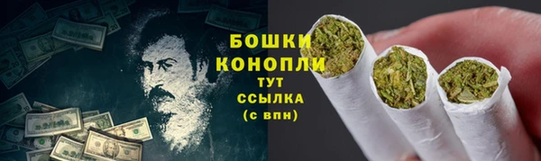 прущие грибы Алзамай