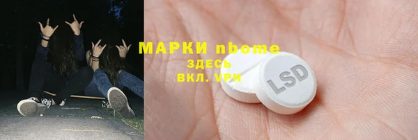 прущие грибы Алзамай