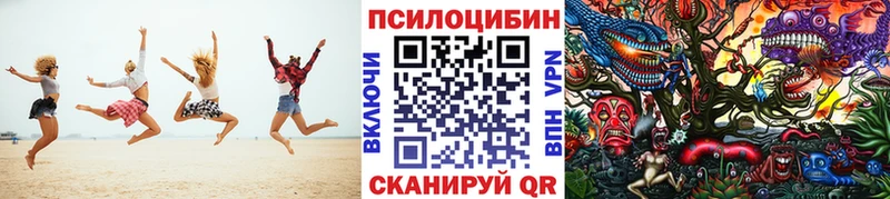 как найти закладки Берёзовский Псилоцибиновые грибы Psilocybe