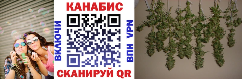 сколько стоит  Берёзовский  Бошки Шишки SATIVA & INDICA 